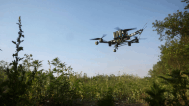 Sécurité renforcée : comment les militaires pourraient bientôt fouiller les voitures et neutraliser les drones menaçant nos sites sensibles