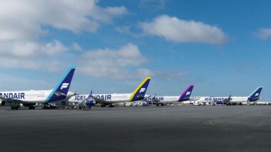 Icelandair célèbre Noël avec une publicité touchante inspirée du légendaire Chat islandais